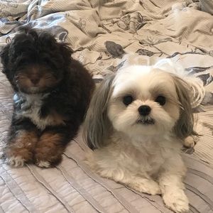 Meet your Posher, Heather